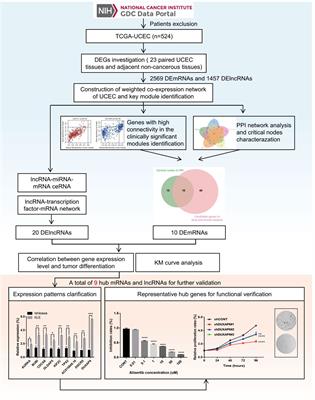 Identification of Hub Genes Correlated With Poor Prognosis for Patients With Uterine Corpus Endometrial Carcinoma by Integrated Bioinformatics Analysis and Experimental Validation